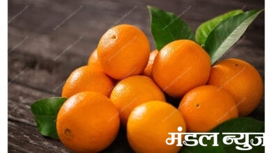 orange-amravati-mandal