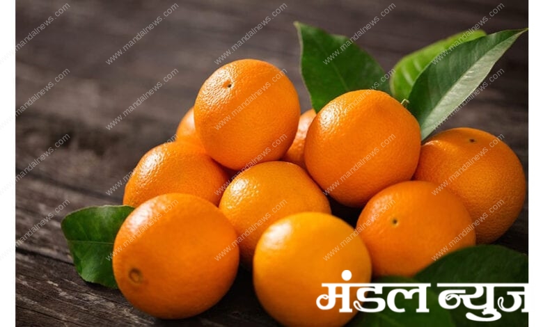 orange-amravati-mandal