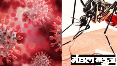 Dengue-with-Corona-amravati-mandal