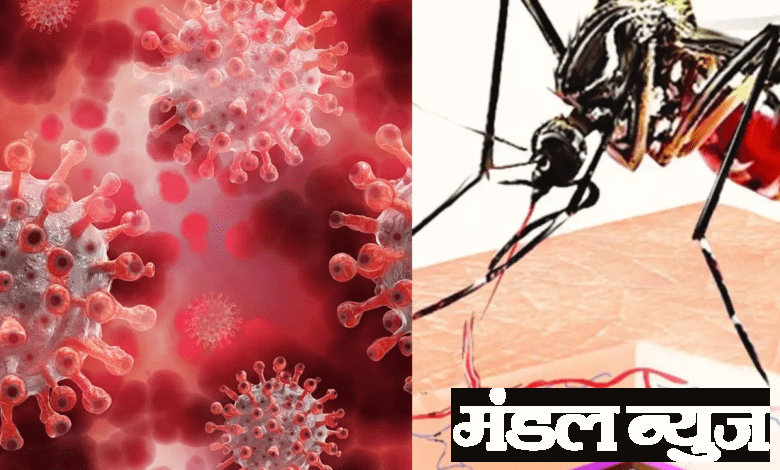 Dengue-with-Corona-amravati-mandal