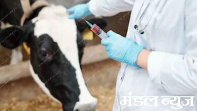Vaccination-of-animals-amravati-mandal