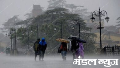 rainfall-in-August-Amravati-Mandal