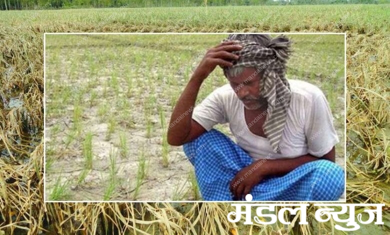 farmer-amravati-mandal