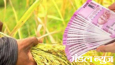 Farmers-loans-amravati-mandal