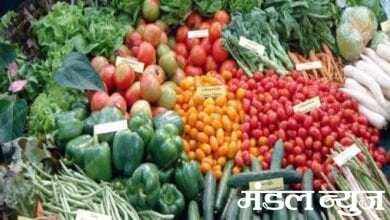 vegetables-amravati-mandal