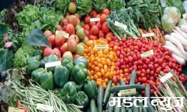 vegetables-amravati-mandal