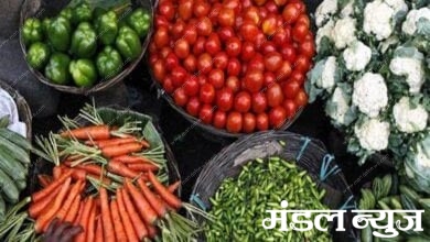 whole-sale-vegetables-amravati-mandal