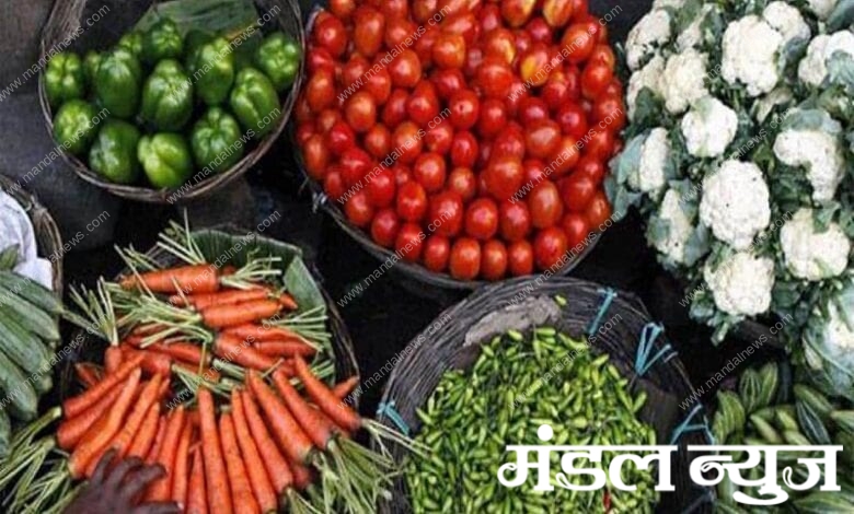 whole-sale-vegetables-amravati-mandal