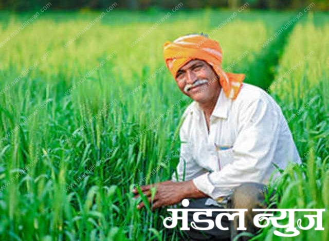 Farmer-amravati-mandal