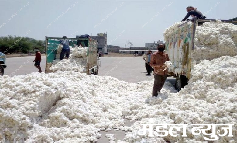 Cotton-Amravati-Mandal