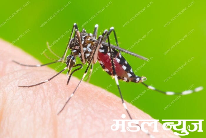 Dengue-Amravati-Mandal