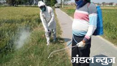 Dengue-Spray-Amravati-Mandal