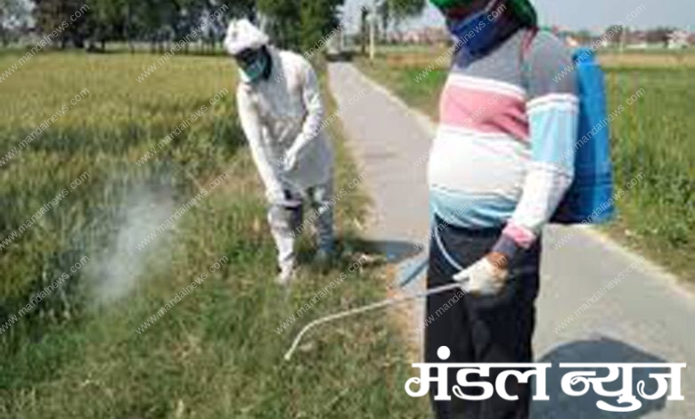 Dengue-Spray-Amravati-Mandal