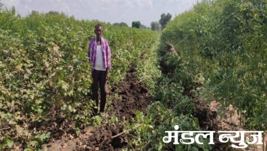 Farmer-Amravati-Mandal