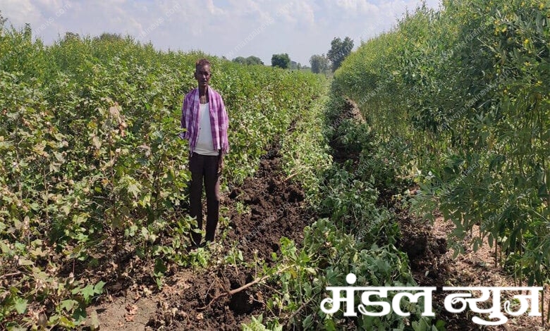 Farmer-Amravati-Mandal