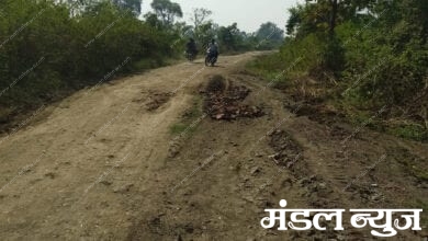 JARUD-SHEGHAT-ROAD-Amravati-Mandal