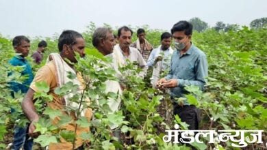 Kisan-Hub-Amravati-Mandal