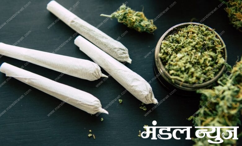 Merijuana-Amravati-Mandal