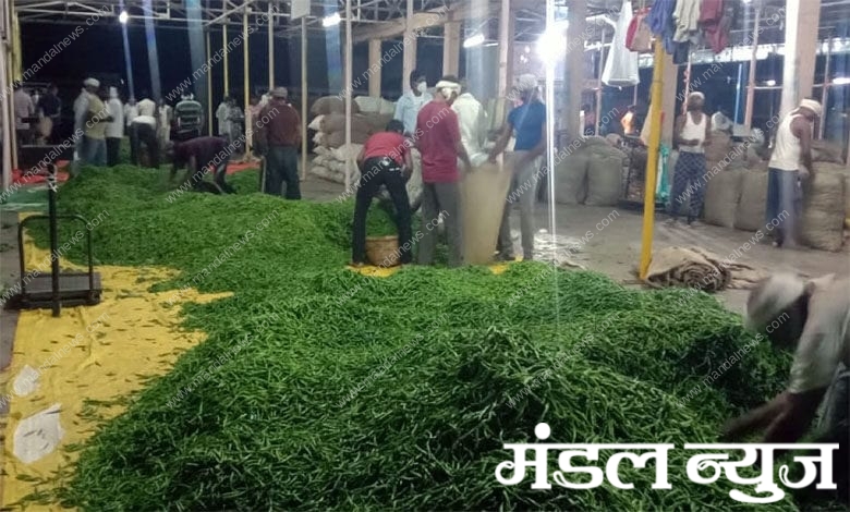 Mirchi-Market-Amravati-Mandal