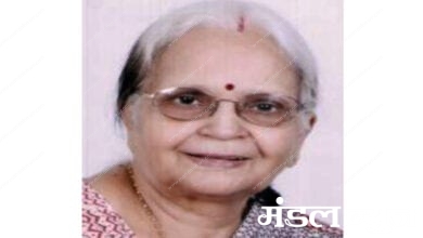 Mrudula-Sinha-Amravati-Mandal