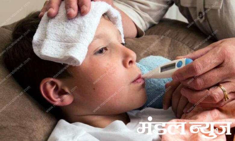 Fever-patients-amravati-mandal