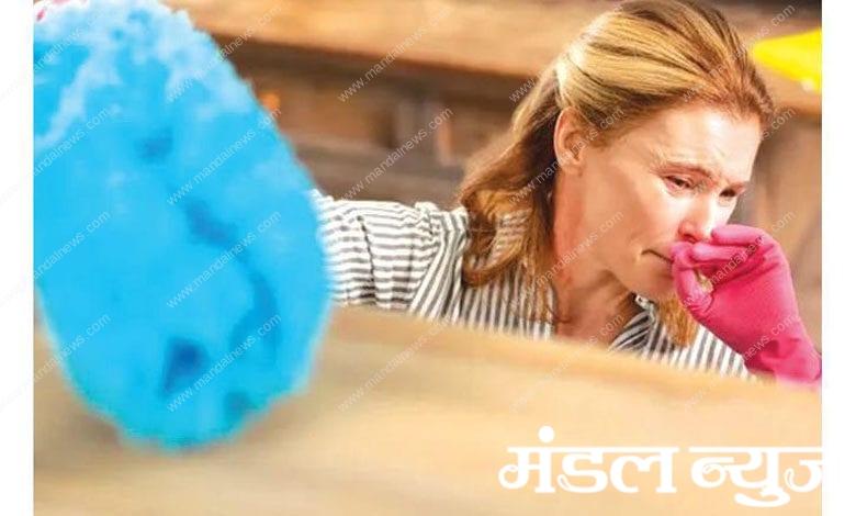 cleaning-amravati-mandal