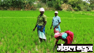 farmers-amravati-mandal