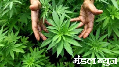 ganja-amravati-mandal