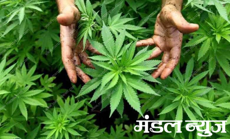 ganja-amravati-mandal