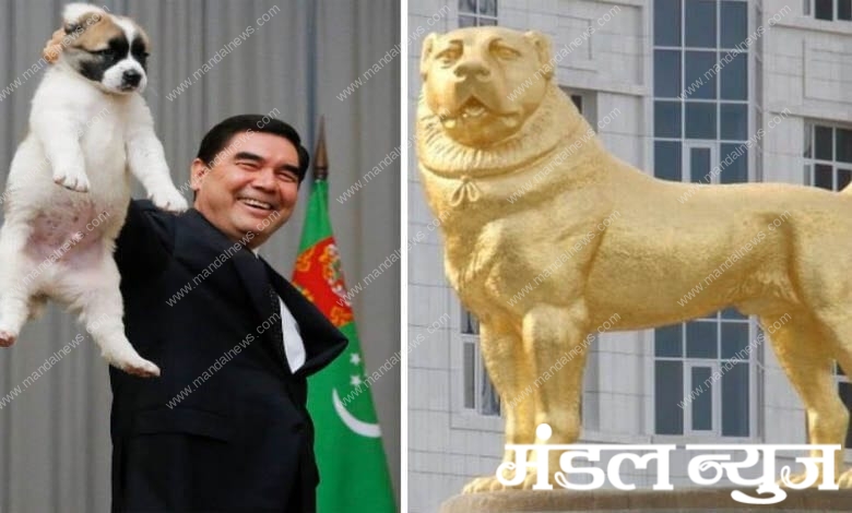 gold-dog-amravati-mandal