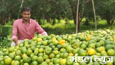 orange-amravati-mandal