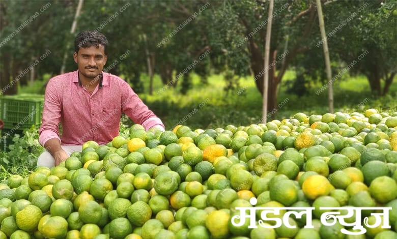 orange-amravati-mandal