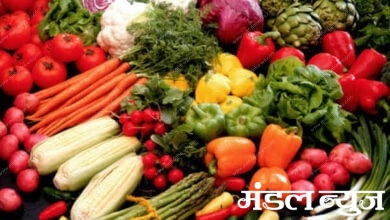 vegitariandiet-Amravati-Mandal