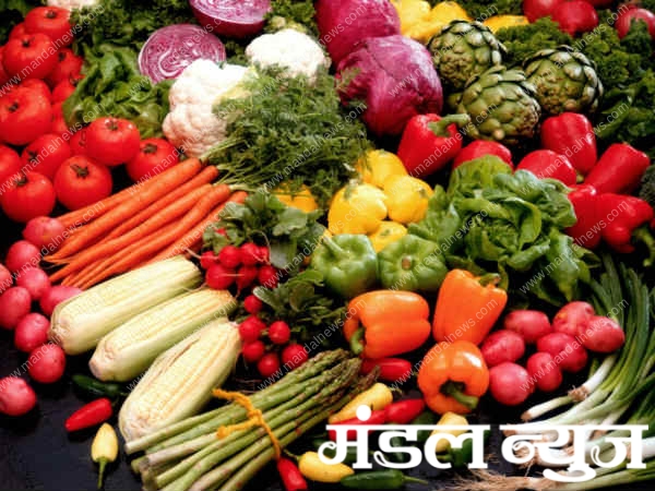 vegitariandiet-Amravati-Mandal