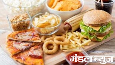 Junk-food-amravati-mandal