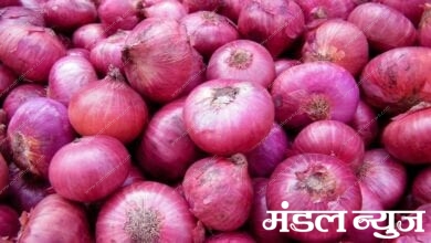 Onion-Grower-amravati-mandal