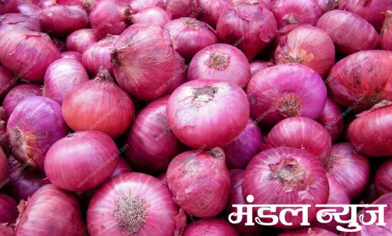 Onion-Grower-amravati-mandal