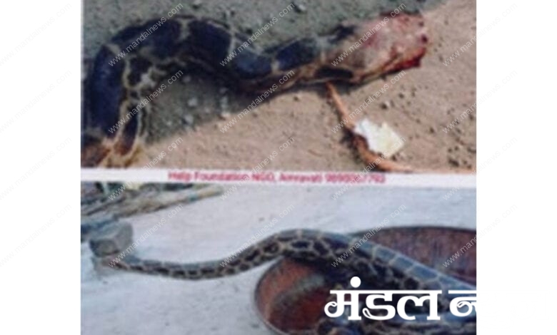 Python-amravati-mandal