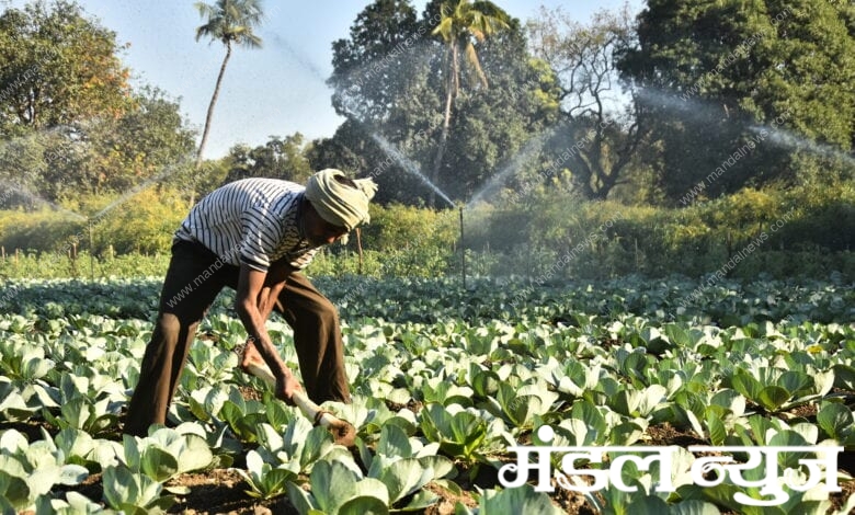 Akshay-Nagapure-Photo-Amravati-Mandal