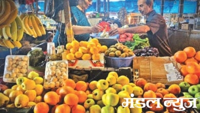 Fruit-Market-Amravati-Mandal