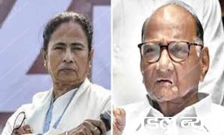 Mamta-Pawar-Amravati-Mandal copy