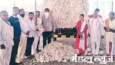 Cotton-Purchased-amravati-mandal