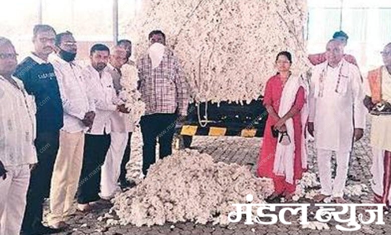 Cotton-Purchased-amravati-mandal