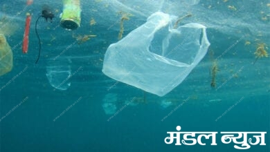 Plastic-Bag-Amravati-Mandal