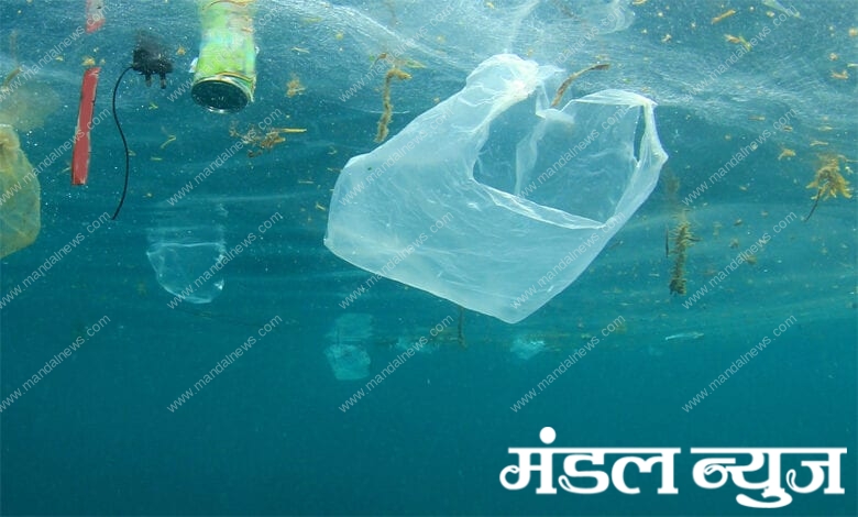 Plastic-Bag-Amravati-Mandal