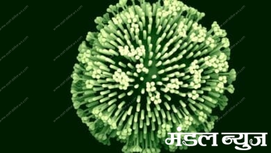 Virus-Amravati-Mandal