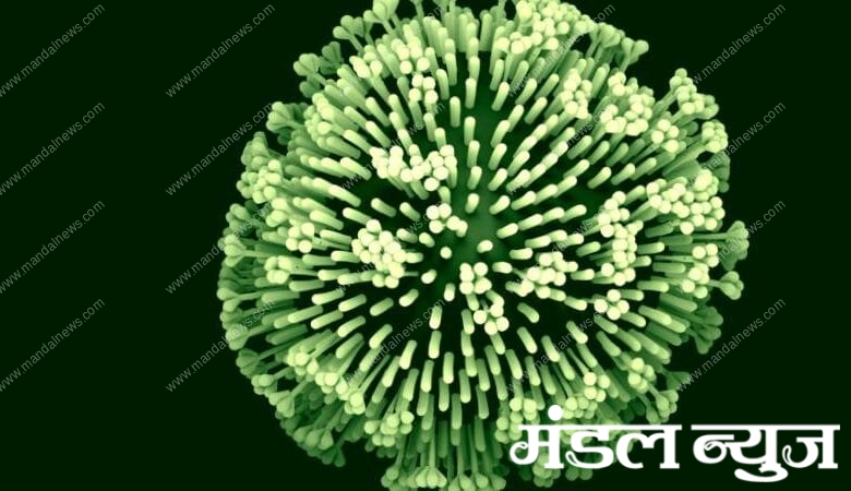 Virus-Amravati-Mandal