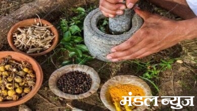 ayurvedic-amravati-mandal