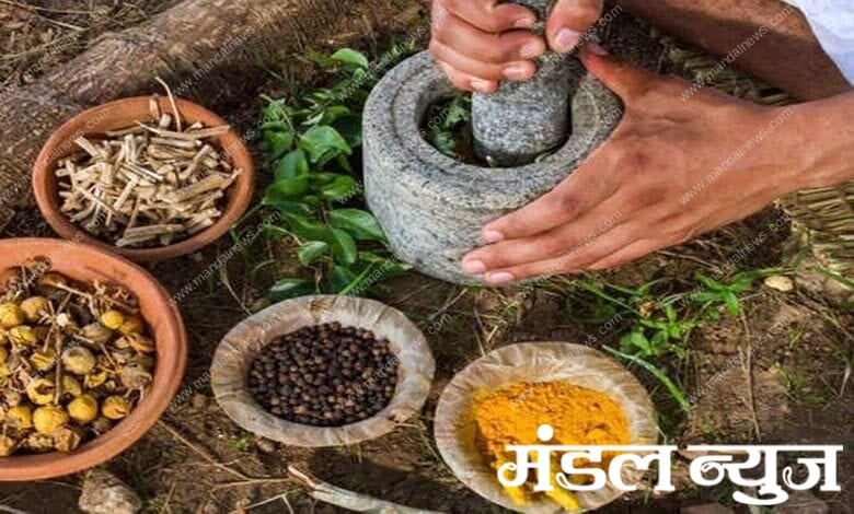 ayurvedic-amravati-mandal