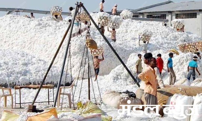 cotton-purchage-center-amravati-mandal